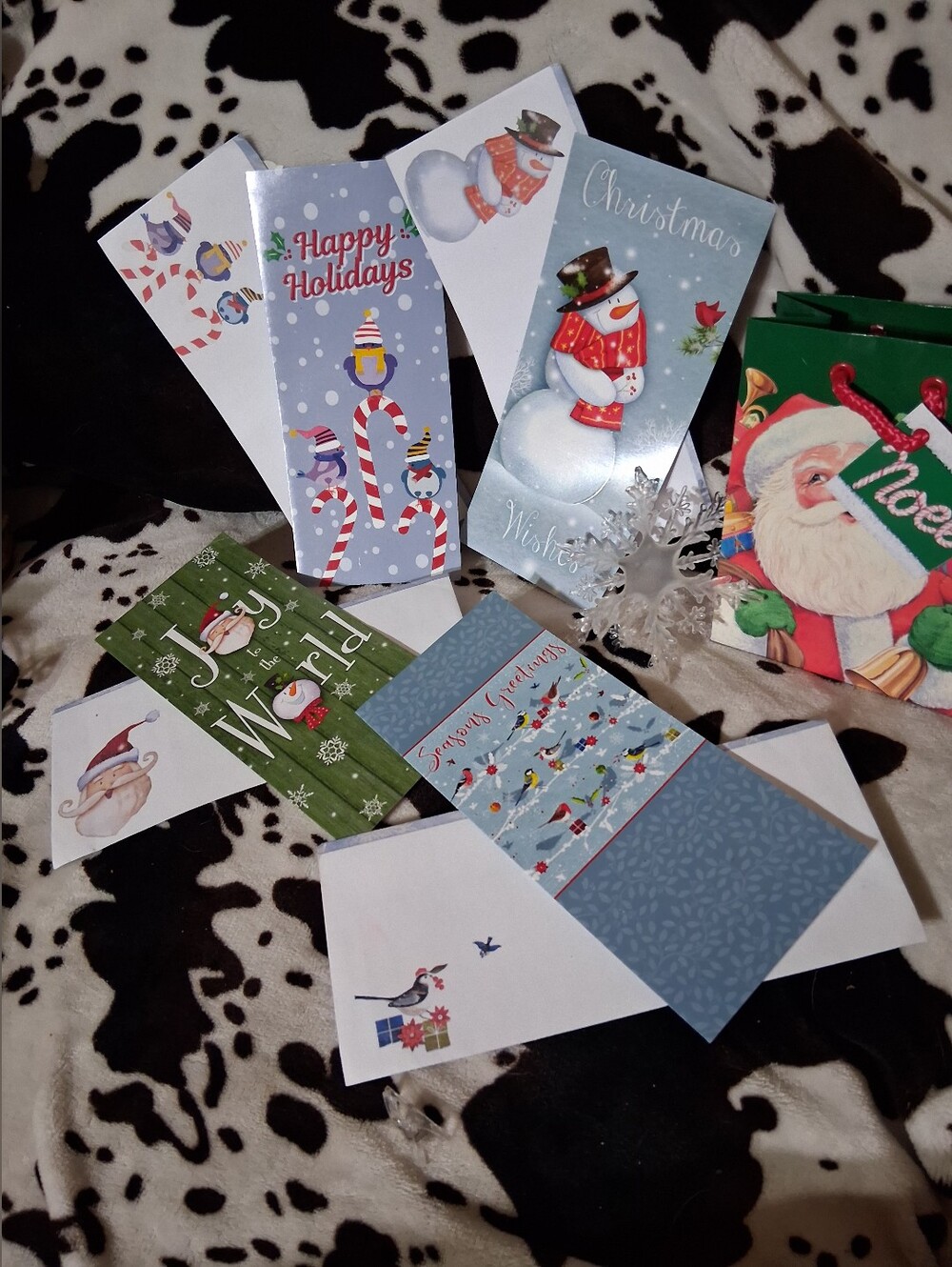 Holiday Greeting Card Set -
